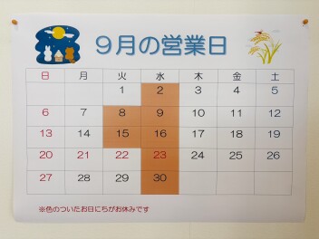 ９月定休日のご案内☆いよいよ決算です！！